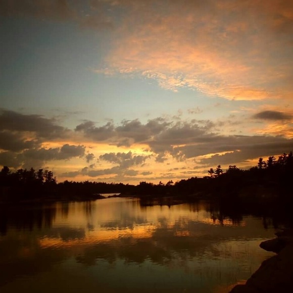 Meet your Posher, Grace - Picture 1 of 1